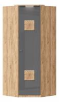 Шкаф угловой 45° с декоративной накладкой Фиджи (ЛД 659.245.000) Антрацит, Дуб золотой. Фото №1