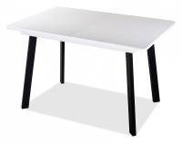 Стол обеденный  цвет каркаса черный, цвет столешницы белый искусственный камень. Фото №1