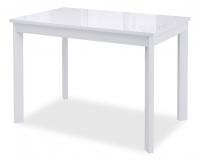 Стол обеденный Dikline Ls110 белый/белый