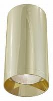 Накладной светильник Maytoni Focus C010CL-01G