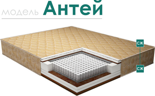 Матрасы Антей. Фото №1