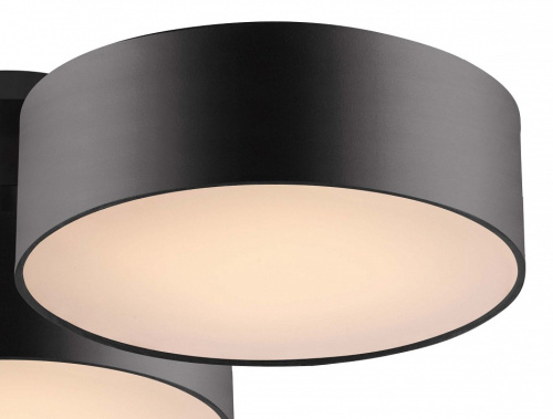 Потолочная люстра Favourite Cerchi 1514-6C. Фото №2