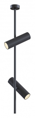 Светильник на штанге Maytoni Elti C021CL-02B. Фото №1