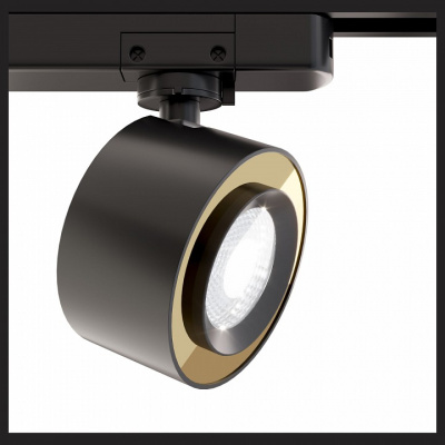 Светильник на штанге Maytoni Track lamps TR023-1-12B3K. Фото №2
