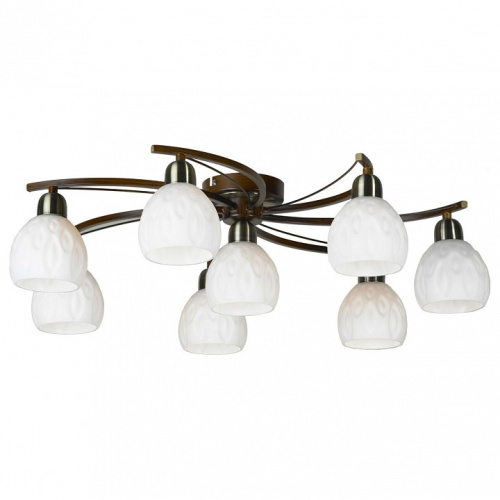 Потолочная люстра Lussole Kstall LSP-0046. Фото №1