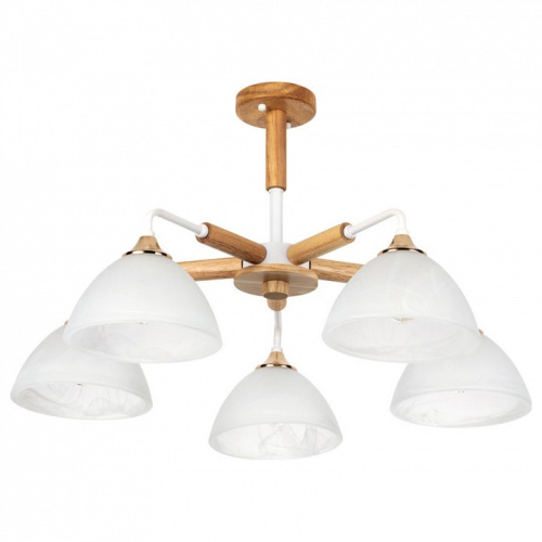 Люстра на штанге Arte Lamp Matthew A5032PL-5BR. Фото №1