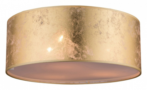 Накладной светильник Globo Amy 15187D. Фото №2