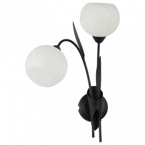 Бра Lussole Bagheria LSF-6291-02. Фото №1