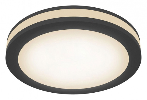 Накладной светильник Maytoni Phanton DL303-L12B4K. Фото №1