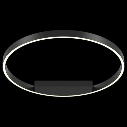 Накладной светильник Maytoni Rim MOD058CL-L35B4K. Фото №2