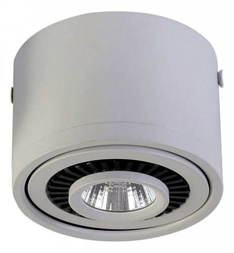 Накладной светильник Favourite Reflector 1775-1C. Фото №2