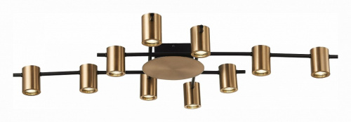 Потолочная люстра ST-Luce Veroli SL1207.402.10. Фото №2