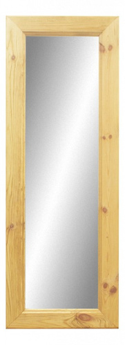 Зеркало 50 x 140. Фото №1