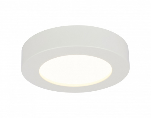 Накладной светильник Globo Paula 41605-20D. Фото №1