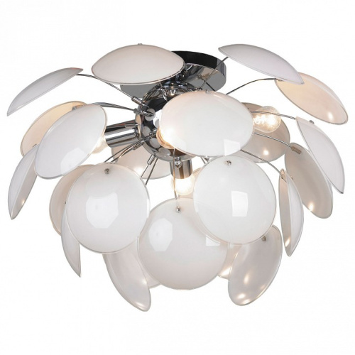 Накладной светильник Lussole Mattina LSQ-4303-04. Фото №1