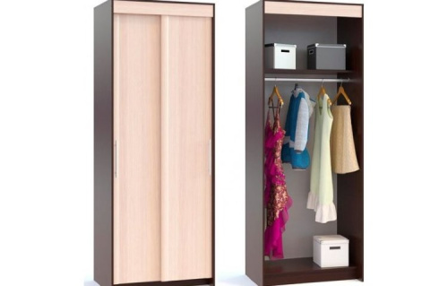 Шкаф-купе ШР-96.1. Фото №1