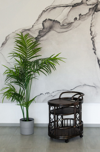 Столик сервировочный 21/06. Фото №7