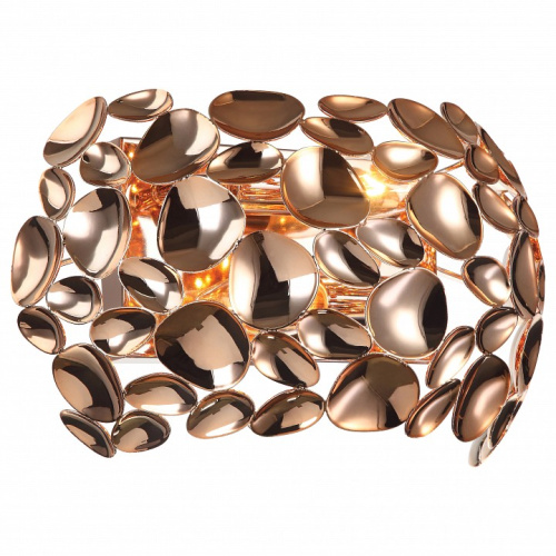 Накладной светильник Favourite Gittus 2013-2W. Фото №1