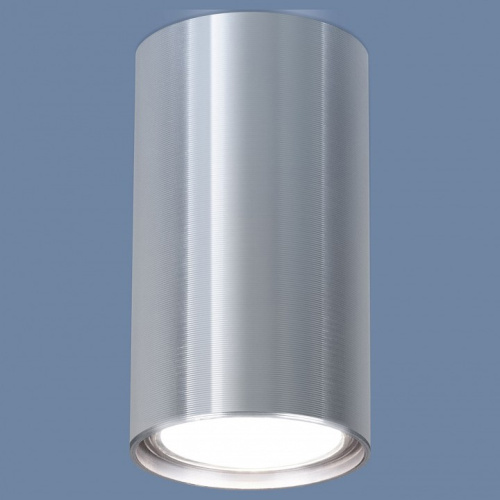 Накладной светильник Elektrostandard 1081 a038491. Фото №1