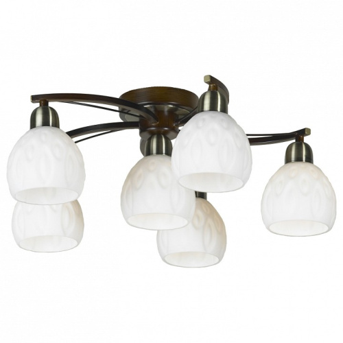 Потолочная люстра Lussole Kstall LSP-0045. Фото №1