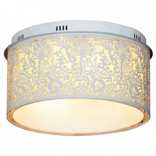 Накладной светильник Lussole Vetere LSF-2307-07. Фото №1