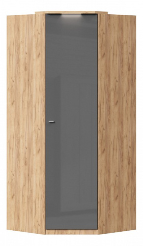 Шкаф угловой 45° Фиджи (ЛД 659.244.000) Антрацит, Дуб золотой. Фото №1