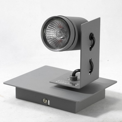 Спот Lussole Dillingham LSP-8022. Фото №2