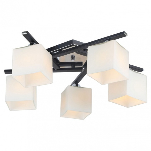 Потолочная люстра Arte Lamp Visuale A8165PL-5BK. Фото №1